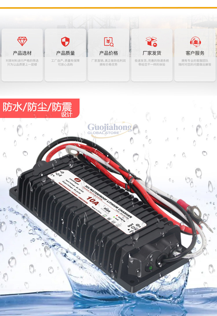 Lithium-Batterie-Ladegerät für – Lithium Battery 12V Bewertung und Preis